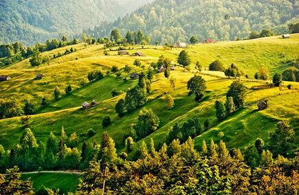 Gastronomie și Ospitalitate de Top în Argeș