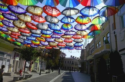 Gastronomie și Ospitalitate în Botoșani: Cele Mai Bune!