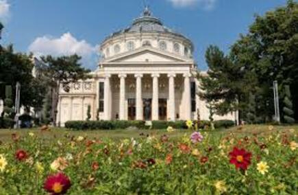 Gastronomie și Ospitalitate în Ilfov - Cele Mai Bune