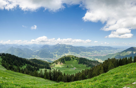 Gastronomie și Ospitalitate de Top în Vrancea