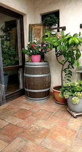 Blue Window - Slatina