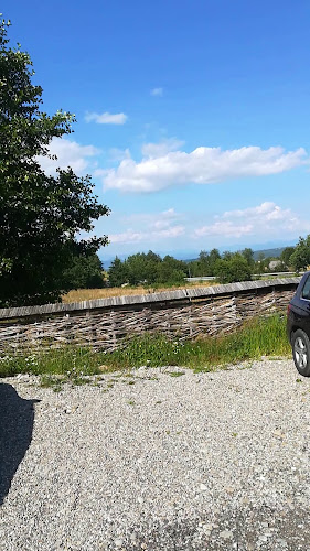 Comentarii opinii despre Hanu Lu Cobâlă