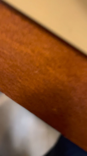 Opinii despre Restaurant Amfora în Negreni - Gastronomie și ospitalitate