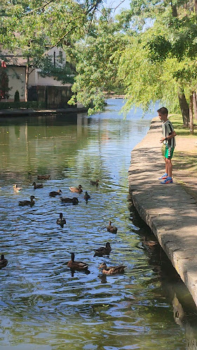 Conacul Trandafirilor