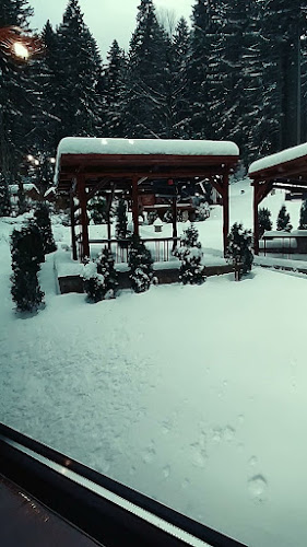 Comentarii opinii despre Restaurant Vânătorul