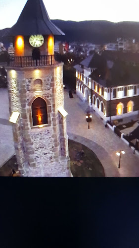 La Curtea Domnească