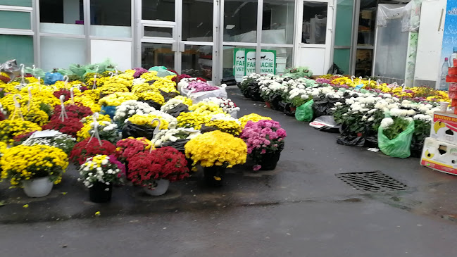 Opinii despre Decebal în Bistrița - Gastronomie și ospitalitate