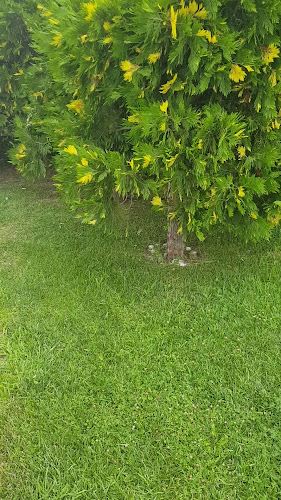 Imago Mamaia - Gastronomie și ospitalitate