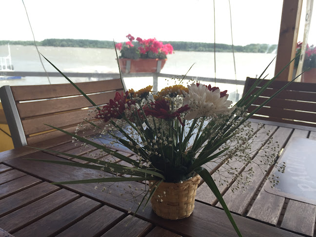 Comentarii opinii despre Restaurant Nemo