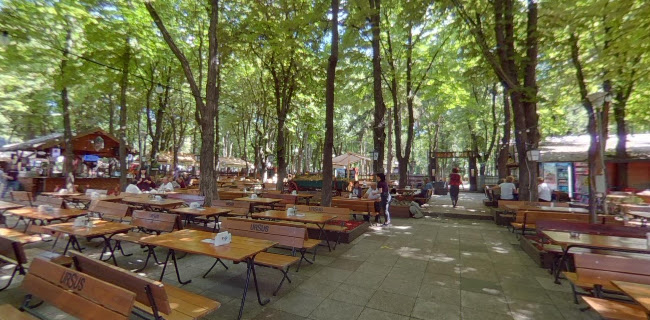 Parcul Expozitiei, Iași 700470