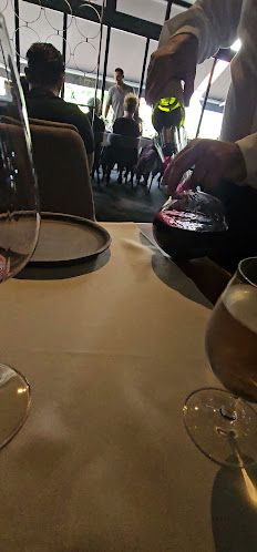 Ferma Baciu - Voluntari