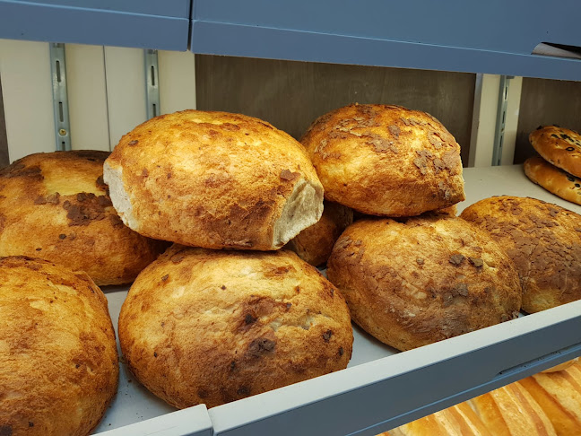 Carsium Pan - Hârșova