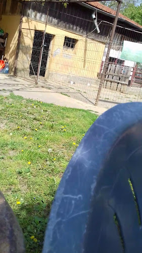 Opinii despre Restaurantul Favorit în Satu Mare - Gastronomie și ospitalitate