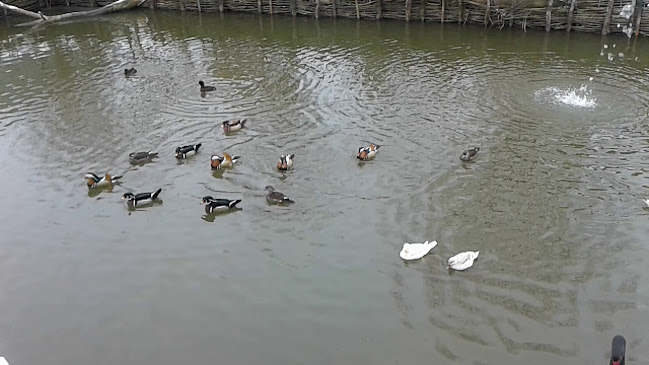 CATERING SHOW S.R.L.