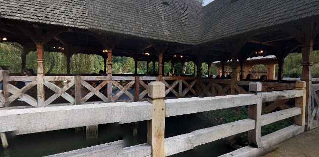 Păstrăvăria Alex - Mara