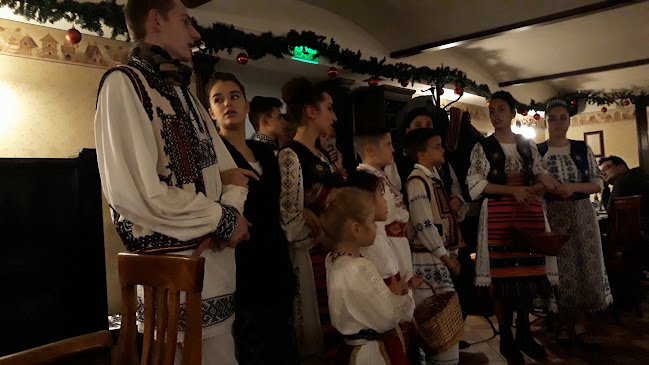 Comentarii opinii despre Casa Bunicii 1