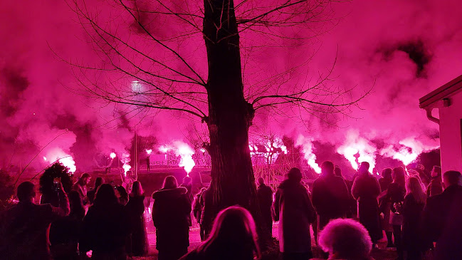 Splaiul Spiru Haret 1, Timișoara 300023