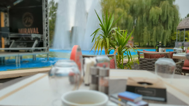 Comentarii opinii despre Fenice Palas Iași