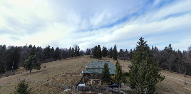 Opinii despre Stâna Turistică Sergiana - Poiana Brasov în Brașov - Gastronomie și ospitalitate