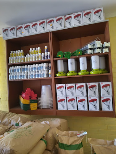 Opinii despre Agroland în Suraia - Gastronomie și ospitalitate