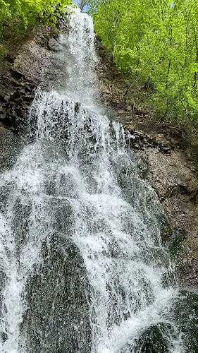 Păstrăvăria Alex - Gastronomie și ospitalitate