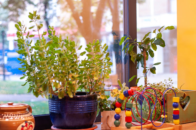 Cuptorul Moldovencei - Podu Ros - Iași