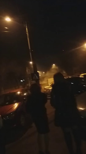 Opinii despre Restaurant Rex în Craiova - Gastronomie și ospitalitate