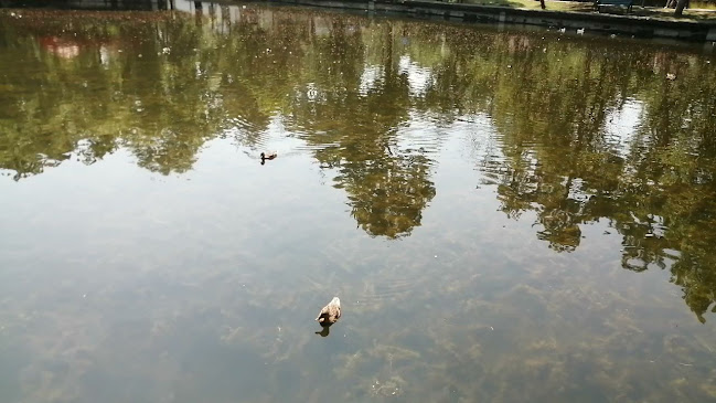 Comentarii opinii despre New Generation