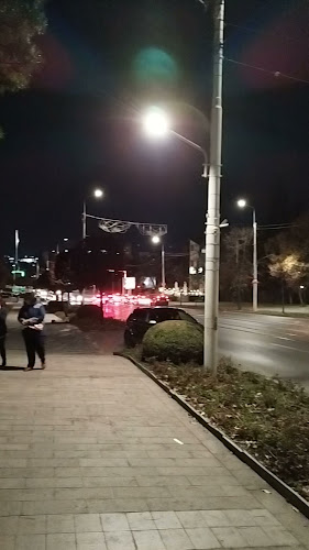 Pizzeria Domnească - Iași