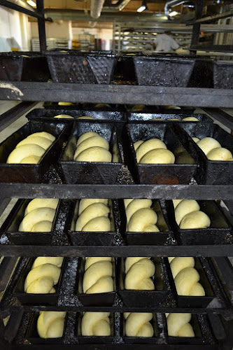 OLTINA IMPEX PROD COM S.R.L.