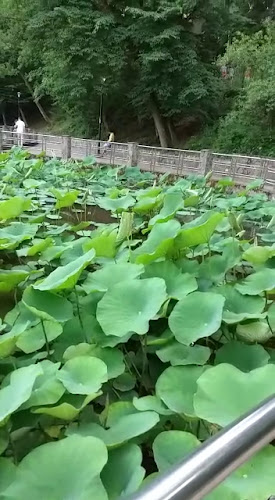 Opinii despre Casa cu Brazi - Firma Catering, Catering Evenimente Iasi. Meniul Zilei, Restaurant Parastas Iasi în Iași - Gastronomie și ospitalitate