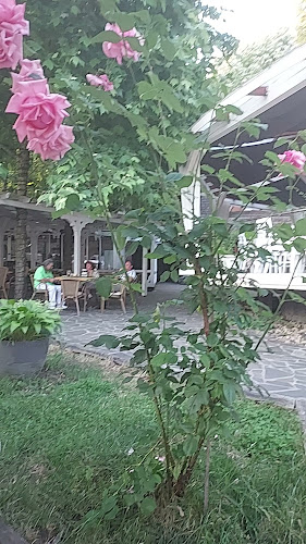 Opinii despre Restaurant Parc Athos în Baia Mare - Gastronomie și ospitalitate
