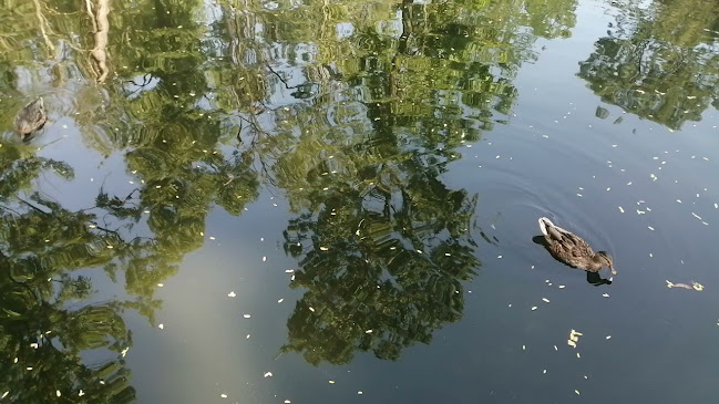 New Generation - Gastronomie și ospitalitate