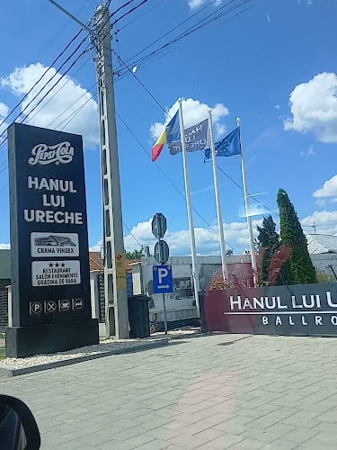 Comentarii opinii despre Restaurant Hanul lui Ureche