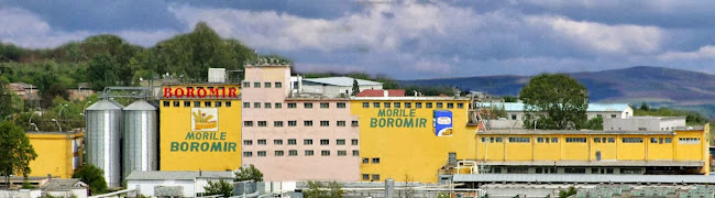 Strada Târgului 2, Rm. Valcea 240485