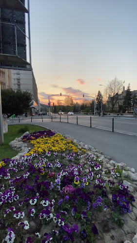 Lido Gîrbea - Gastronomie și ospitalitate