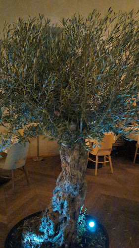 Comentarii opinii despre Samsara Foodhouse