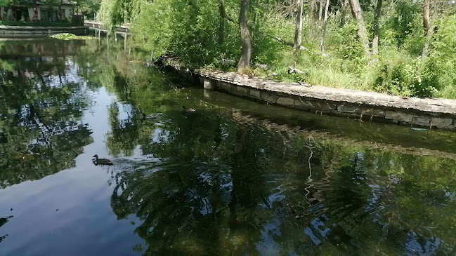 Opinii despre New Generation în Buzău - Gastronomie și ospitalitate