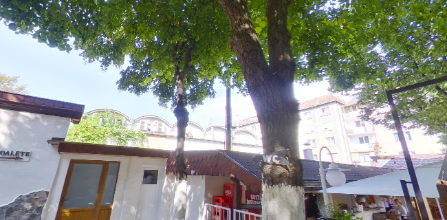 Comentarii opinii despre Gradina De Vara