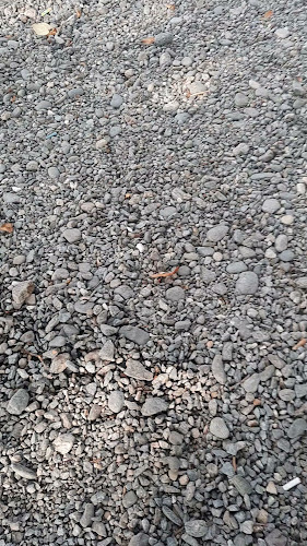 Comentarii opinii despre La Costică