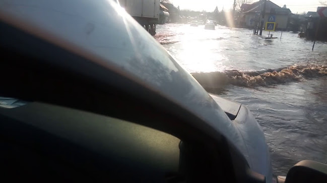 Opinii despre Restaurant Parc în Drăgănești-Vlașca - Gastronomie și ospitalitate