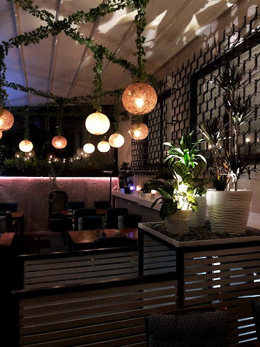 Restaurant Pata Negra - Gastronomie și ospitalitate