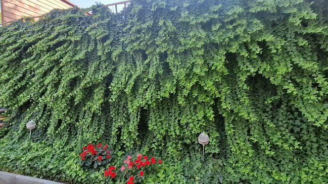 Gossip Cafe - Gastronomie și ospitalitate