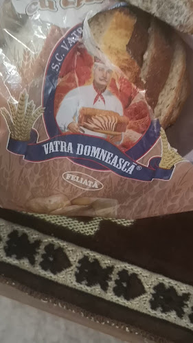 VATRA DOMNEASCA