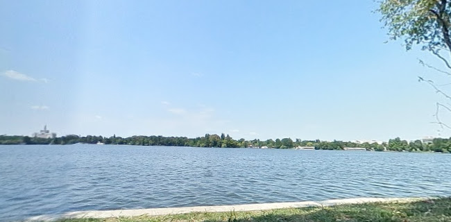 Aleea Pescăruș 1, București 011851