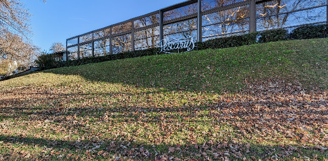 Comentarii opinii despre Restaurant Pescăruș