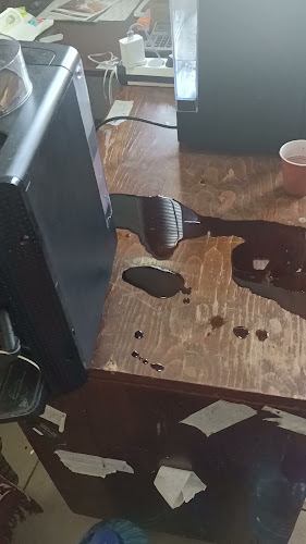 Strada Sfinții Apostoli Petru și Pavel 46, Timișoara 300272