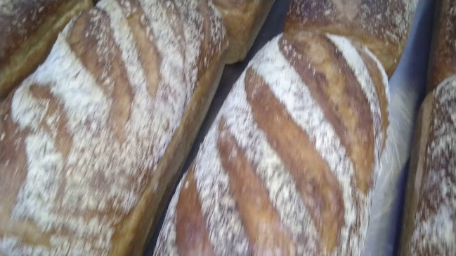 Opinii despre Bon Pan Aliment în București - Gastronomie și ospitalitate