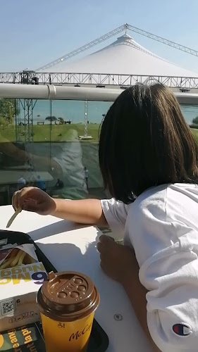 Comentarii opinii despre McDonald's