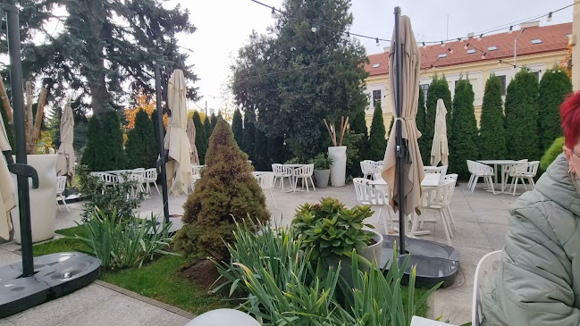 Opinii despre Amaretto Caffe în Bistrița - Gastronomie și ospitalitate